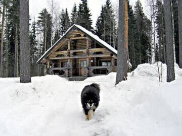 Фото номера Дом для отпуска Дома для отпуска Holiday Home Aurinkoniemi г. Halttula 20